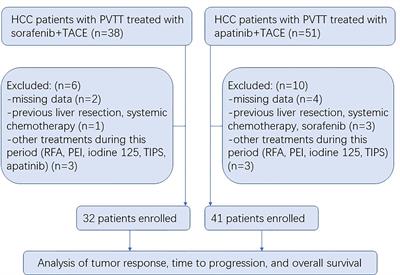 Sorafenib Versus Apatinib Both Combined Transarterial Chemoembolization for Hepatocellular Carcinoma With Portal Vein Tumor Thrombosis: A Comparative Retrospective Study